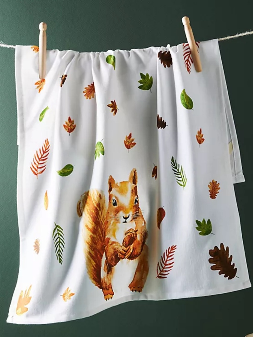 Anthropologie sandy the squirrel dish towel